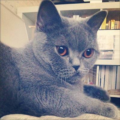 FayXing2's profile picture. 