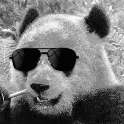 AVI is me.Not a real panda. Sarcastic AF and witty. WAP(Wise Ass Panda). Male 🐼. Cake aficionado. sweet/bratty AF. “ I like ur butt”. I like saying stupid shit