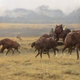 CassandraDevar5's profile picture. 