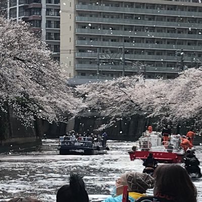 東京・横浜エリアを中心に、クルーズ事業を行っている（株）ジールの