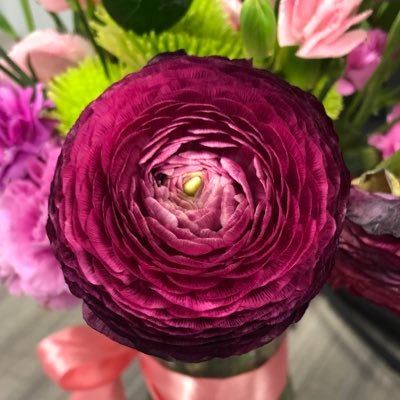 ccarlton's profile picture. 