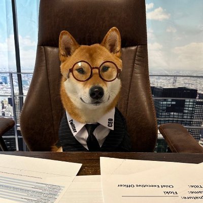 FlokiStarship's profile picture. Floki Starship *BRAND NEW* BEP-20 coin set to launch this March! Out of the 1st 1000 followers 100 will be selected for a free airdrop of $10000! WEB SITE SOON!