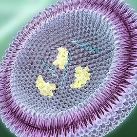 wyb2016nyc's profile picture. Associate