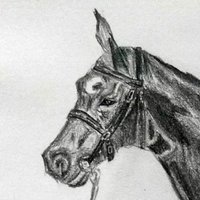 女子力リーダー会長 (@girlspowekaicho) 's Twitter Profile Photo