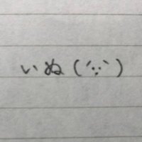 いぬ( ´∵｀) ❤️✨(@P5q1jN9JgdzteP3) 's Twitter Profile Photo