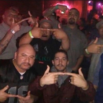 BirdRectangular's profile picture. 