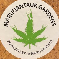 Ethan (@marijuantauk) 's Twitter Profile
