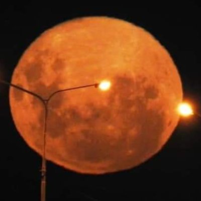 SebaaTecoje's profile picture. .