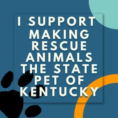 Here to support animal rescues. Burner for life,World traveler,Hiker, camper, and Environmentalist!Electronic music and antilog junkie! Vinyl for life!