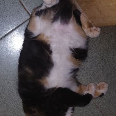 Mochi13_20's profile picture. All beautiful 💕🌚