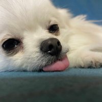 missy 春から関大じゃなかった (@missymikky) Twitter profile photo