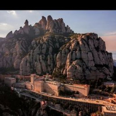 naturedesign8's profile picture. 