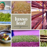 Lusso Leaf(@LeafLusso) 's Twitter Profile Photo