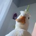 🦆 (@__duckkie) Twitter profile photo 🦆 (@__duckkie) Twitter profile photo