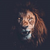 mayd (@mydemali) Twitter profile photo