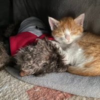 。 (@snooooopyww) Twitter profile photo