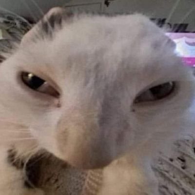 FWojtek_'s profile picture. naczelny lurker