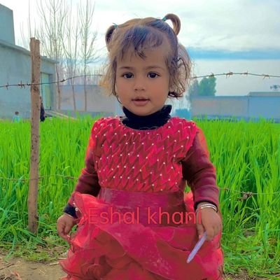 GhufranRahii1's profile picture. Msc Computer science (MCS) 
Working at PAKHTUNKHWA OPEN MRI SWABI.