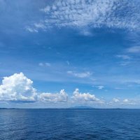 thr (@sut12t2) 's Twitter Profile