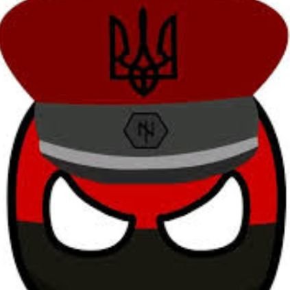 svitvik1 Profile Picture