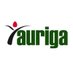 Auriga Nusantara (@aurigaorid) Twitter profile photo