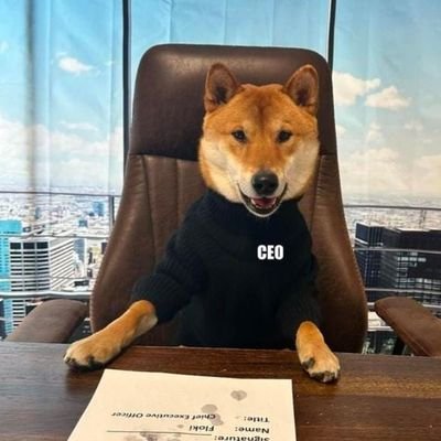 vishant_shenoy's profile picture. From Bangalore, India