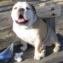 Todd Tetreault - @uriturfman - Twitter