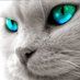 Oxy ma (@oxyma3) Twitter profile photo Oxy ma (@oxyma3) Twitter profile photo