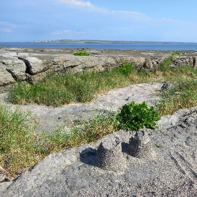 Eolas faoi Ghaeltacht Oileáin Árann i gCo. na Gaillimhe
News and info about The Aran Islands Gaeltacht in Co. Galway

#InisOírr #InisMeáin #Árainn