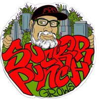 suckerpunchgrows(@spgrows) 's Twitter Profile Photo