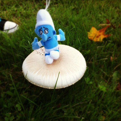 marounghanem123's profile picture. 