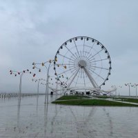 3_li🇴🇲 (@ali87358452) Twitter profile photo