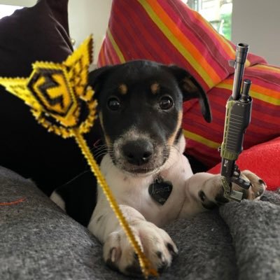 ESP Hunterfox Profile
