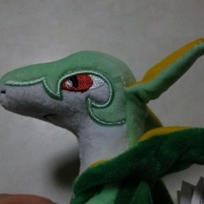 かいと(おりば)さんのプロフィール画像