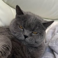 いんがすんがすん (@xpje4wrunxrxst9) 's Twitter Profile