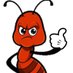 Wild Ant Cricket (@wildantcricket) Twitter profile photo Wild Ant Cricket (@wildantcricket) Twitter profile photo