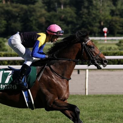 競走馬の写真を撮っています/好きな競走馬:グローリーヴェイズ、ユーキャンスマイル/杉原誠人騎手、永島まなみ騎手を応援しています/※無言フォロー失礼いたします。