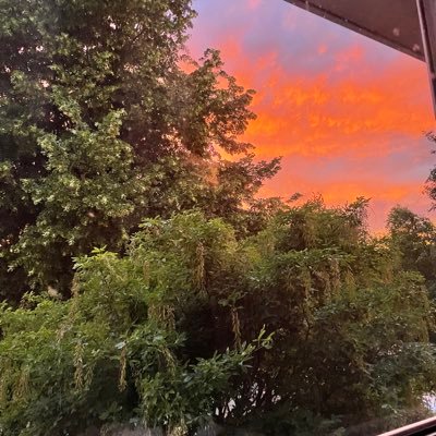 Compassion for those most in need in our world. Love mother nature, words, photography & kind people. Adore my boys, family & friends COYS 💙 & my cat