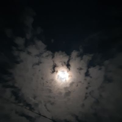 □○♤♡◇♧☆