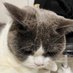 conan1024hao (@810396815) Twitter profile photo conan1024hao (@810396815) Twitter profile photo