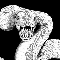 Medūsa🐍 (@playboimedusa) 's Twitter Profile Photo