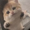 XHLUhUDLM7RZZ17's profile picture. アラフォーの既婚者👦🏻
優しいだけではダメなの分かってるけど…優しさしか取り柄ないです💐
心の繋がり求めてます(*ˊ˘ˋ*)｡♪:*°
エロだけど夢中になるとその人だけになっちゃう💕

愛媛県民🍊