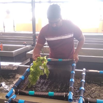 Abalone farmer, Microalgae & Macro-algae Production Specialist, Shrimp Technician, Shellfish oysters researchers and production supervisor🦐oysters 🐟