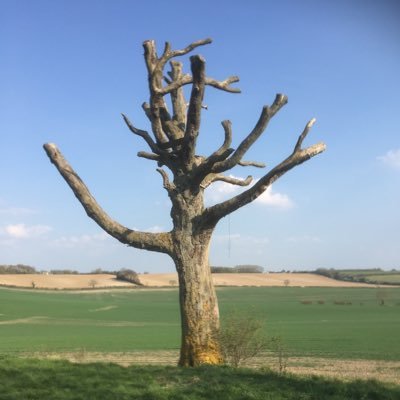 AnthonyBewley69's profile picture. 