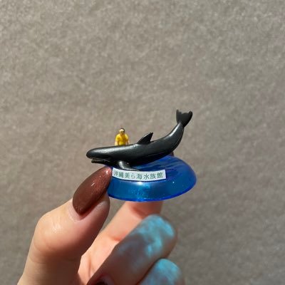 ̤ᙏ̤̫さんのプロフィール画像