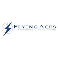 Flying Aces Consulting(@FlyingAcesLLC) 's Twitter Profile Photo