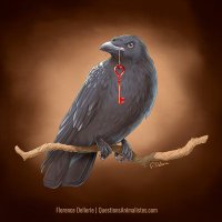 Yan Duhourcau (@yanduhourcau) 's Twitter Profile