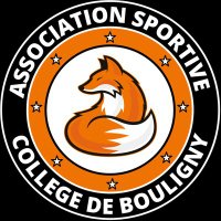 AS BOULIGNY 🦊 (@as_clgbouligny) 's Twitter Profile