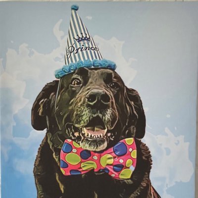 _eleaefe's profile picture. 