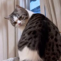 S' (@stsuays) 's Twitter Profile Photo